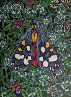 Scarlet Tiger
